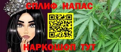 индика Пенза