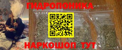 индика Пенза