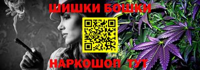 индика Пенза