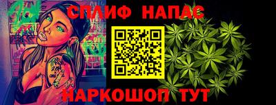 индика Пенза