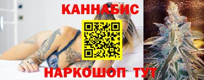 индика Пенза