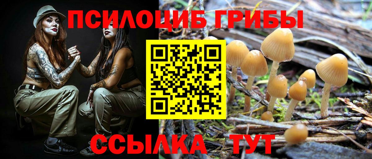 Галлюциногенные грибы Psilocybine cubensis  Вход с VPN  Севастополь  Псилоцибиновые грибы Psilocybine cubensis 